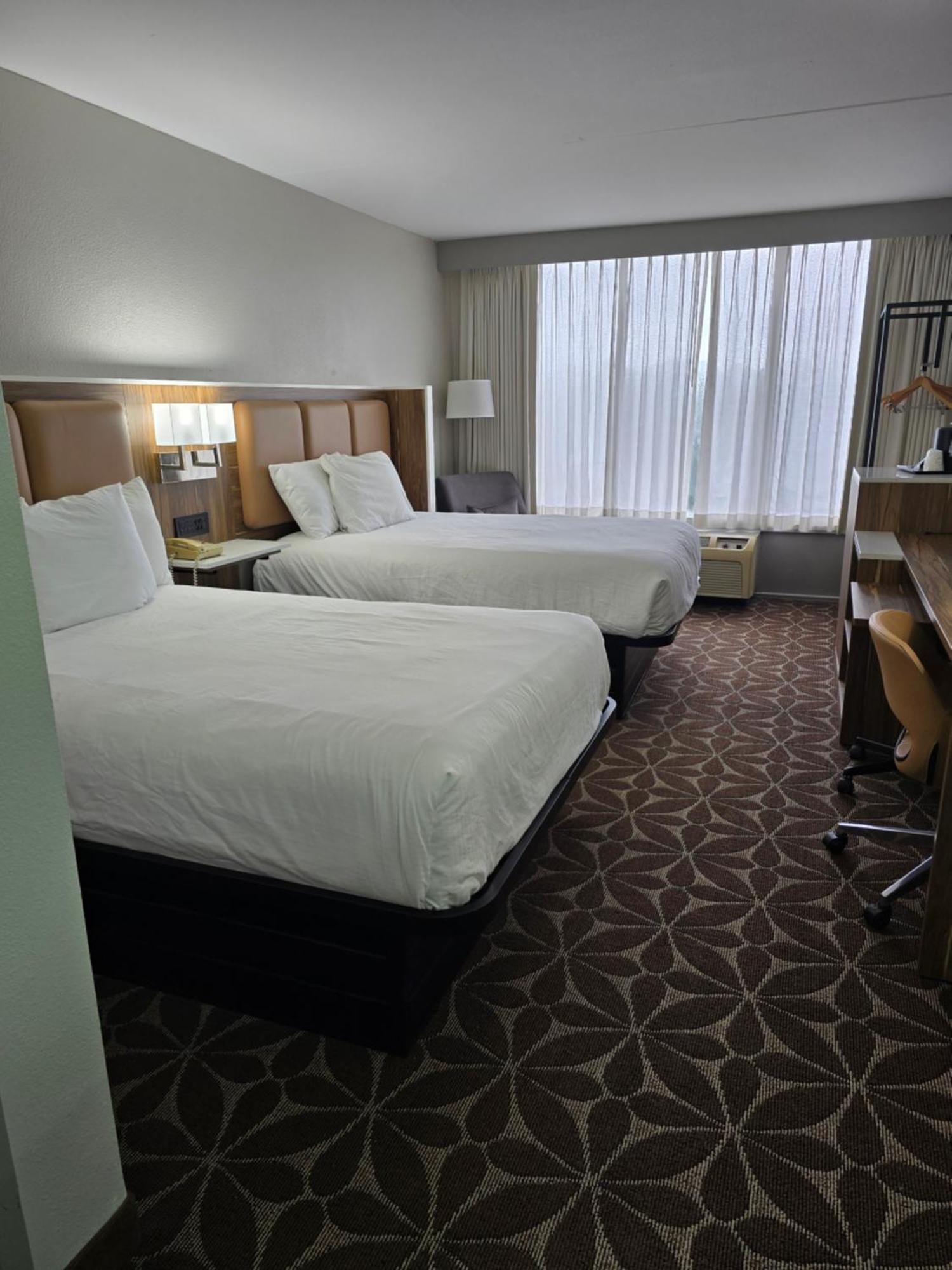 Wyndham Garden Williamsburg Busch Gardens Area Hotel Bagian luar foto